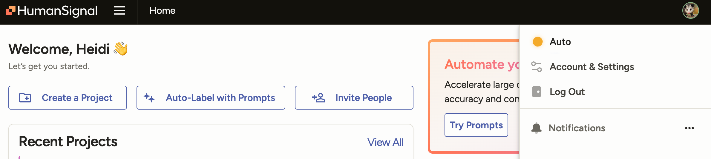 Screenshot of the account and settings option